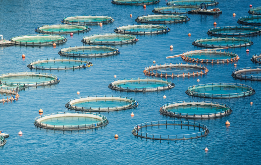 “Sustainable Seafood for a Growing Nation”