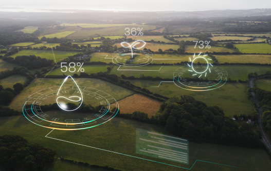 “Navigating Environmental Challenges”